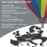 Poster - Horizon 2014: What LGBT Rights in the EU?