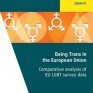 FRA Being Trans in the EU report